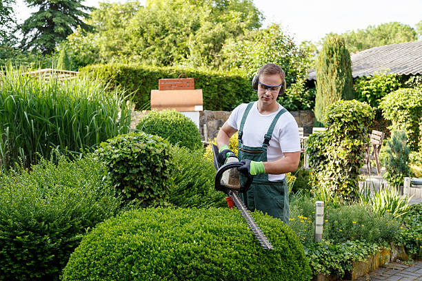 Best Lawn Pest Prevention  in Wakeeney, KS